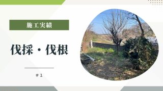 【伐採・伐根】複数樹種