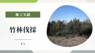 【伐採】竹林